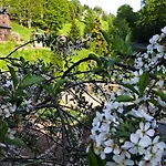 Gemuetliches Am Gottesberg דירה *