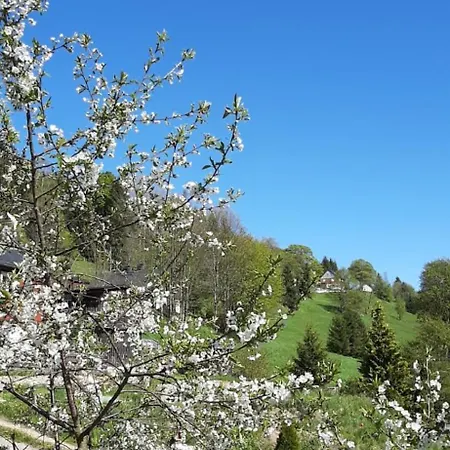 Gemuetliches Am Gottesberg Apartment