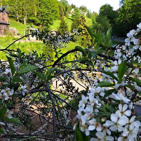 Gemuetliches Am Gottesberg Apartment *