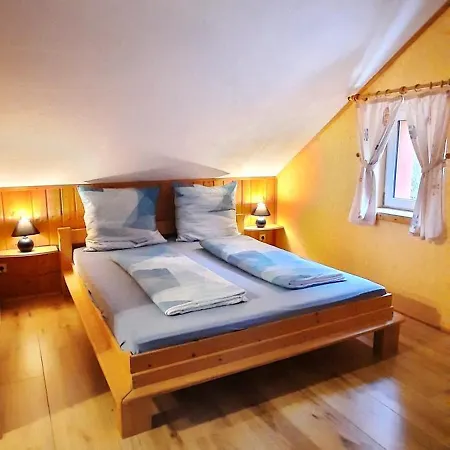 Apartment Gemuetliches Am Gottesberg Muldenhammer