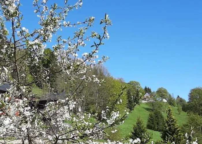 Gemuetliches Am Gottesberg Appartement