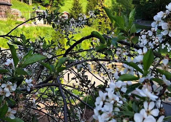 Gemuetliches Am Gottesberg Appartement *